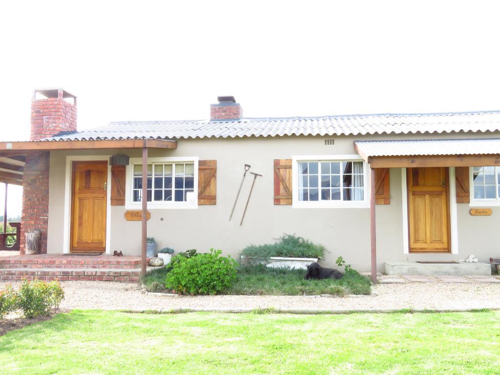 Seven Oaks Vineyard Cottages Wolseley Exterior photo
